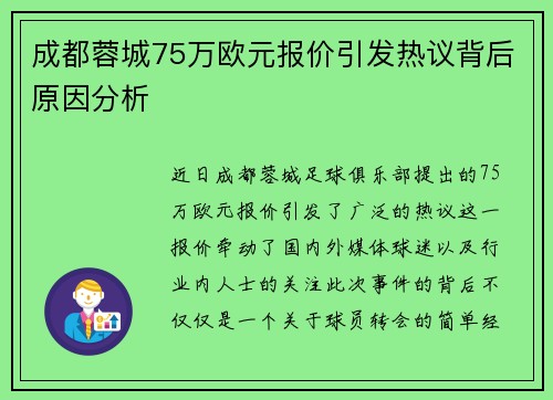 成都蓉城75万欧元报价引发热议背后原因分析 成都蓉城75万欧元报价引发热议背后原因分析